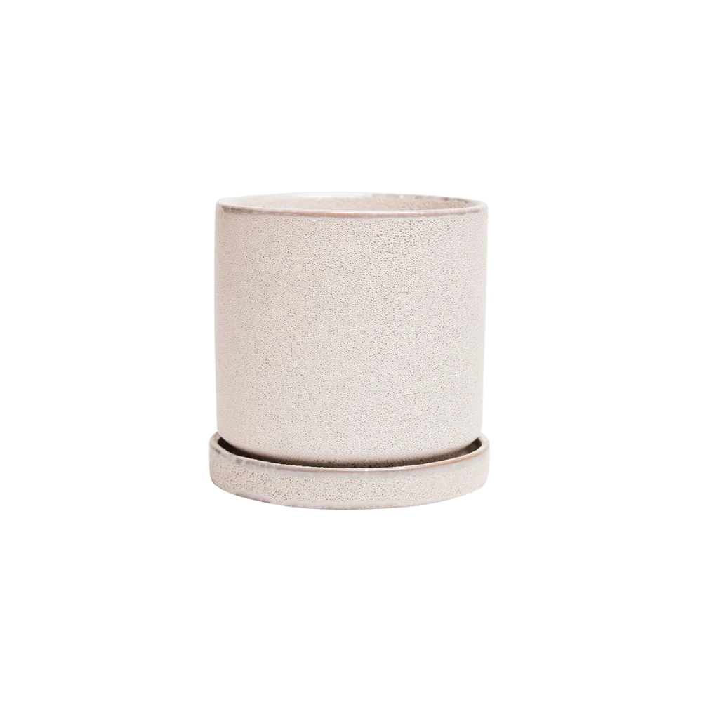 Small Indoor Plant Ceramic Pots With Drainage Hole And Saucer