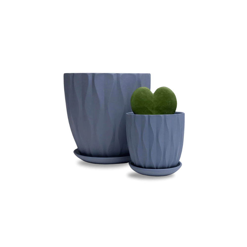 Thumbnail 85