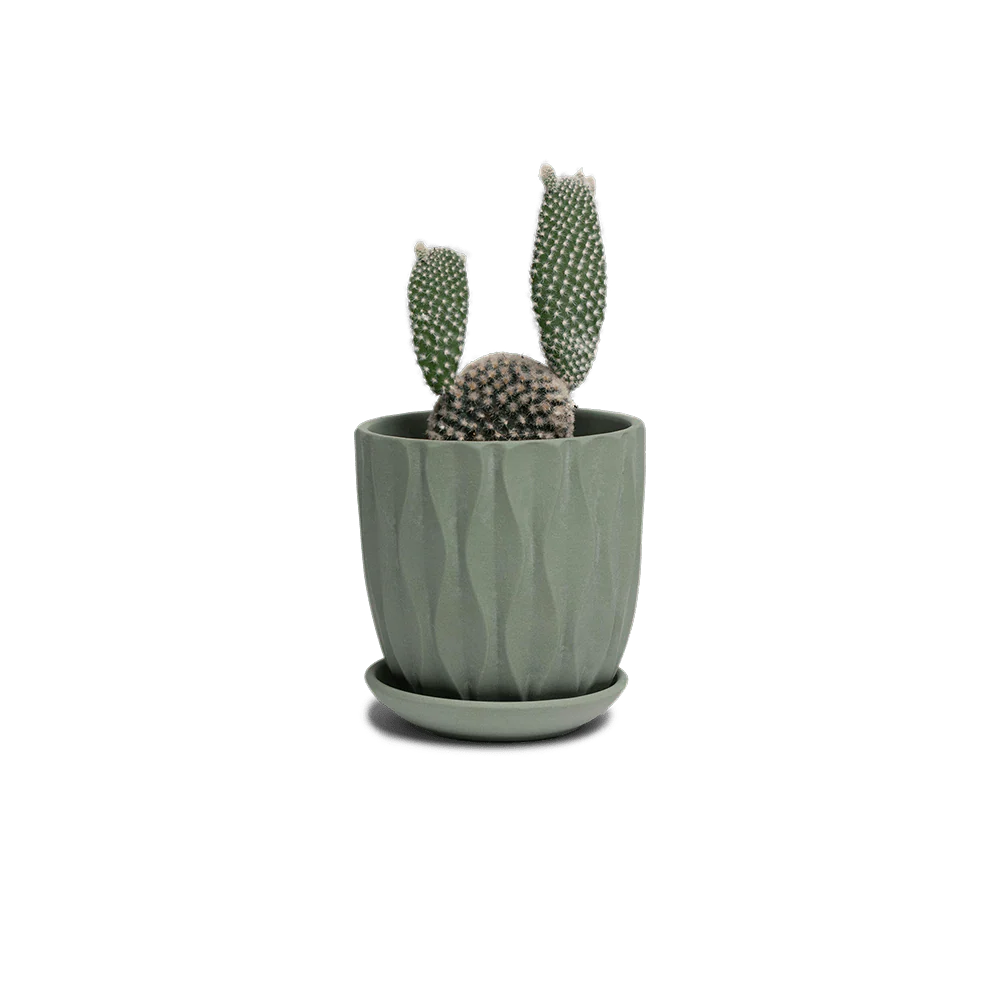 Thumbnail 65